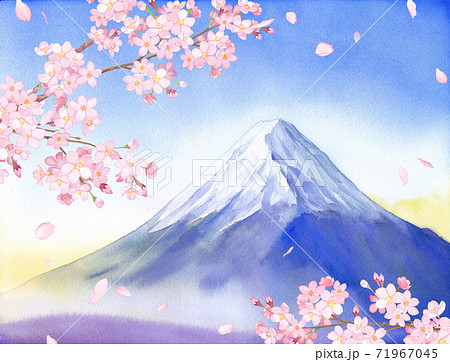 春の花：桜と富士山の景色 水彩イラストのイラスト素材 [71967045] - PIXTA