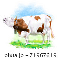 年賀状素材牛イラスト 71967619