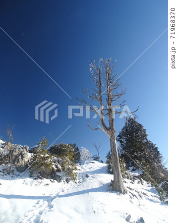 積雪時の多紀連山（兵庫県丹波篠山市） 71968370