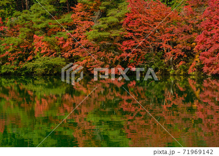 伊奈ヶ湖の美しい紅葉 伊奈ヶ湖の美しい紅葉 71969142