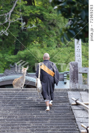 奈良東大寺二月堂の階段で僧侶と鹿 71969263