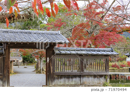 大覚寺 大沢池 紅葉 大覚寺 大沢池 紅葉 71970494