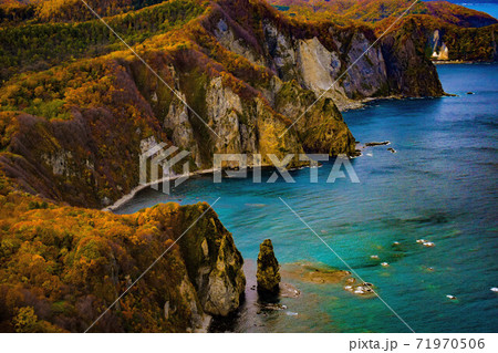 積丹ブルーと紅葉 71970506