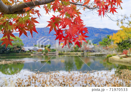 大覚寺 大沢池 紅葉の写真素材 [71970533] - PIXTA