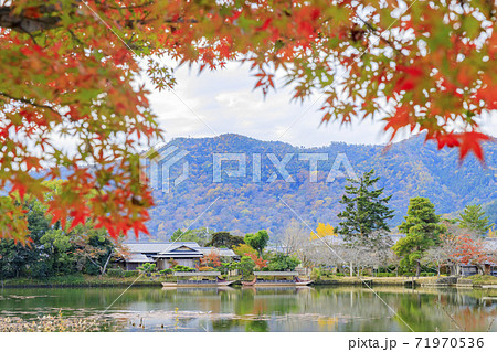 大覚寺 大沢池 紅葉の写真素材 [71970536] - PIXTA