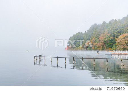 早朝の朝霧に包まれた芦ノ湖と箱根神社 箱根町 早朝の朝霧に包まれた芦ノ湖と箱根神社 箱根町 71970660