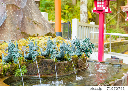 箱根神社 龍神水 神奈川県箱根町の写真素材 [71970741] - PIXTA