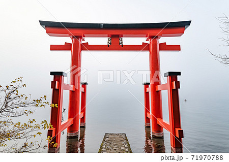 箱根神社　平和の鳥居　神奈川県箱根町 71970788