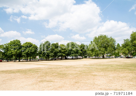 ロンドン郊外の公園　日照り続きで茶色くなった芝生と周りに並ぶ木々 71971184