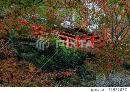 北野天満宮 もみじ苑の写真素材