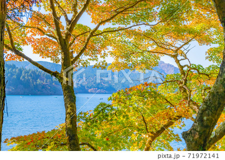 秋の芦ノ湖 紅葉 神奈川県箱根町 秋の芦ノ湖 紅葉 神奈川県箱根町 71972141