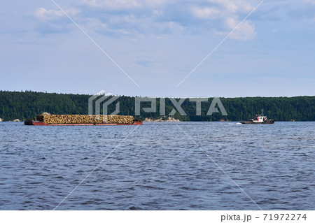 transportation of timber along the river by barge and tug transportation of timber along the river by barge and tug 71972274