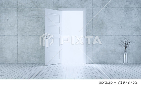Light entering from open white door to empty room with concrete wall realistic 3D rendering 71973755