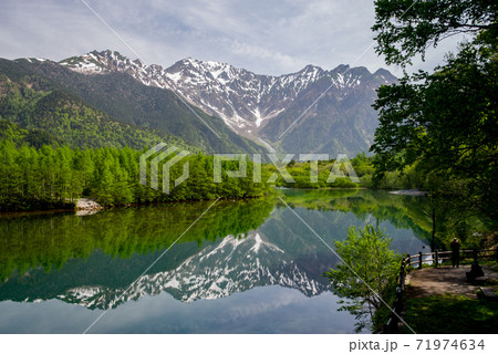 新緑の上高地(大正池) 新緑の上高地(大正池) 71974634