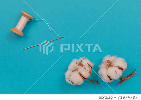 Cotton flowers, spool of thread and needle. Accessories for sewing. Top view with copy space, flat lay. Cotton flowers, spool of thread and needle. Accessories for sewing. Top view with copy space, flat lay. 71974787