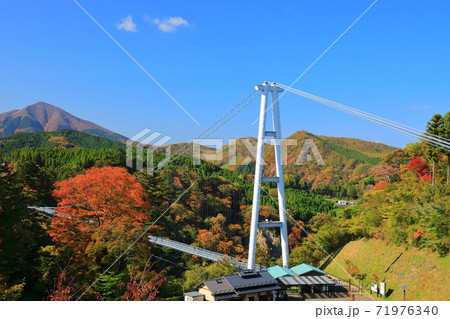 【大分県】晴天下の九重夢大吊橋と紅葉 【大分県】晴天下の九重夢大吊橋と紅葉 71976340