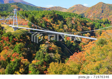 【大分県】晴天下の九重夢大吊橋と紅葉 【大分県】晴天下の九重夢大吊橋と紅葉 71976346