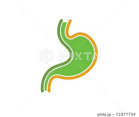 stomach vector illustration design 71977734