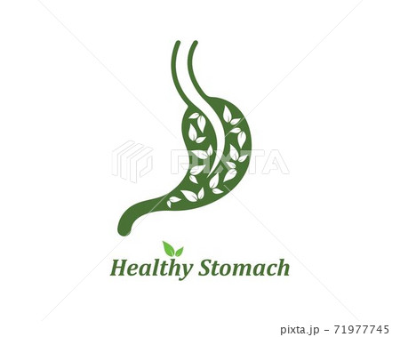 stomach vector illustration design 71977745