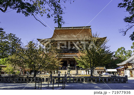 吉野　金峯山寺　四本桜　奈良県吉野郡吉野町 71977936