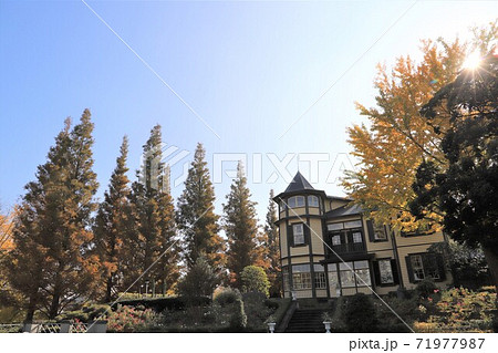 晩秋の山手イタリア山庭園 71977987