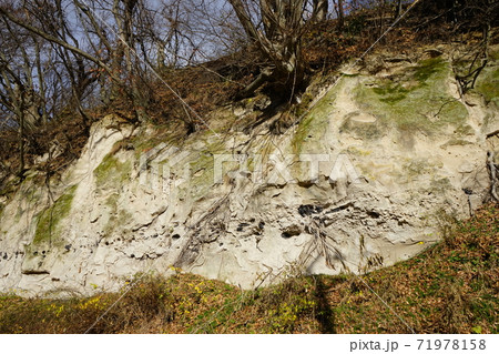 九戸城跡　崖 71978158