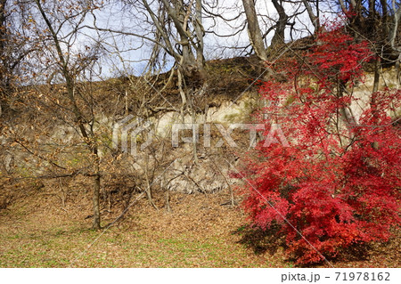 九戸城跡 崖 九戸城跡 崖 71978162