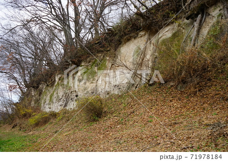 九戸城跡　崖 71978184