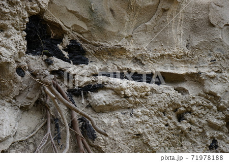 九戸城跡 崖 九戸城跡 崖 71978188