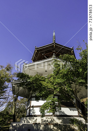 吉野　金峯山寺　南朝妙法殿　奈良県吉野郡吉野町 71978653