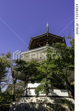 吉野 金峯山寺 南朝妙法殿 奈良県吉野郡吉野町 吉野 金峯山寺 南朝妙法殿 奈良県吉野郡吉野町 71978654