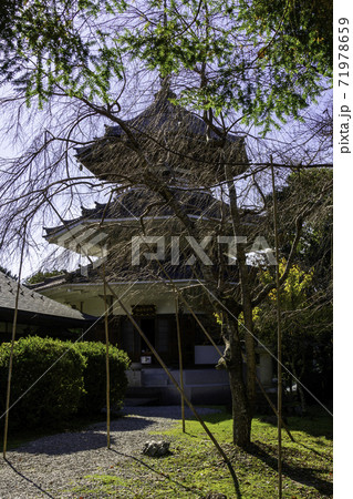吉野　金峯山寺　南朝妙法殿　奈良県吉野郡吉野町 71978659