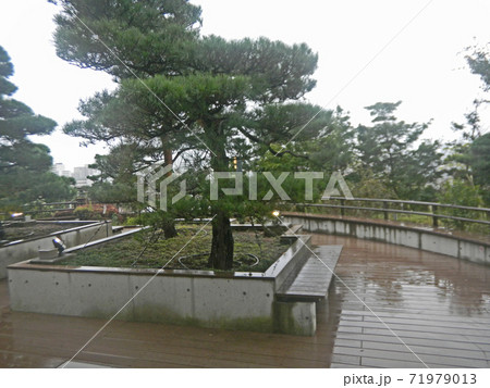 目黒天空庭園 71979013