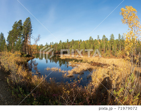 北欧フィンランド ラップランドの森と湖 71979072
