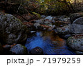 秋の菊池渓谷 71979259