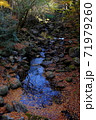 秋の菊池渓谷 71979260