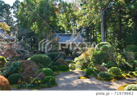 龍潭寺 補陀落の庭 龍潭寺 補陀落の庭 71979662