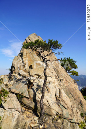 登山 韓国 ソウル市 71980079