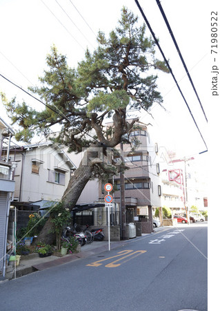 枚方宿　鍵屋資料館　枚方市 71980522