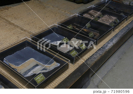 枚方宿 鍵屋資料館 枚方市 枚方宿 鍵屋資料館 枚方市 71980596