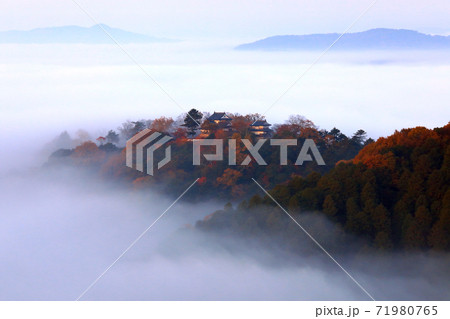 天空の山城5115 71980765