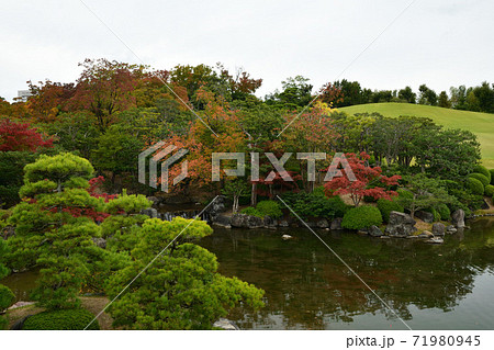 万博記念公園 日本庭園の紅葉の写真素材