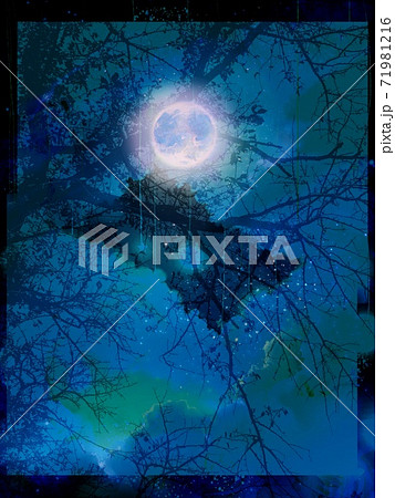 夕焼けと夜空に輝く美しい満月と冬の枯れ枝のシルエット 夕焼けと夜空に輝く美しい満月と冬の枯れ枝のシルエット 71981216