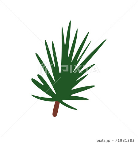 Christmas twig isolated on white background. Xmas tree in doodle. Christmas twig isolated on white background. Xmas tree in doodle. 71981383