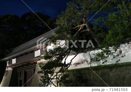 松前城 松前城 71981503