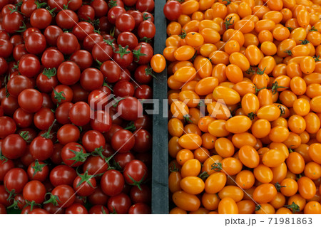 市場でまとめ売りされている鮮やかなトマト 71981863