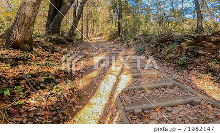 登山道 歩くイメージ素材 71982147