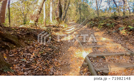 登山道 歩くイメージ素材 71982148
