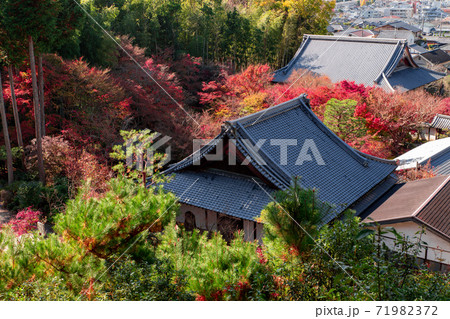 京都市　圓光寺の紅葉 71982372