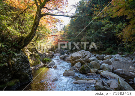秋の木谷峡 71982418